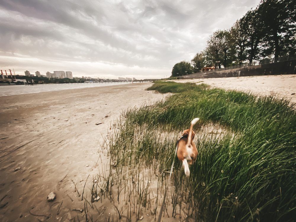 Photograph by Наталия Шляпина