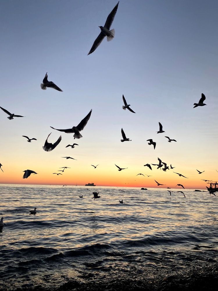 Photograph by Наталия Шляпина