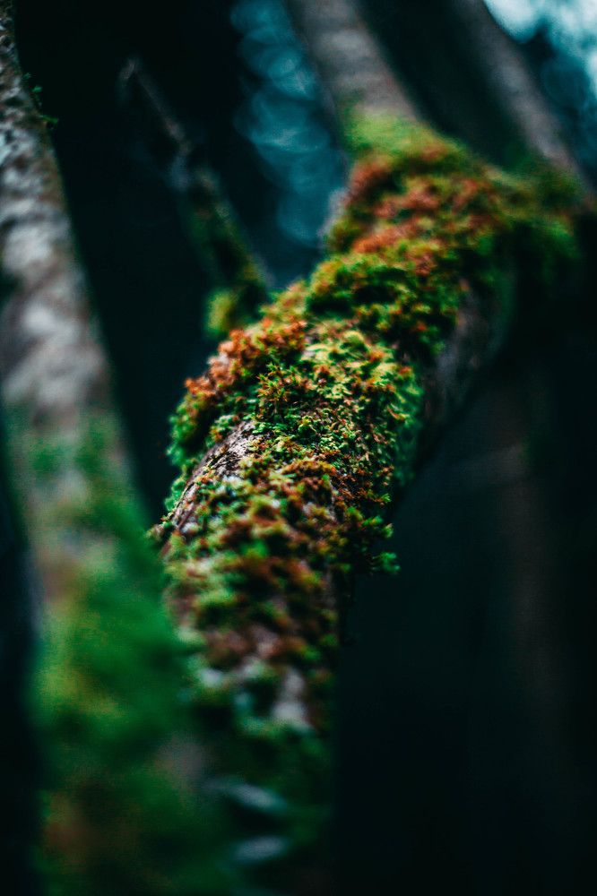 Photograph by Илья Найко