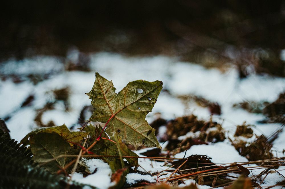 Photograph by Илья Найко