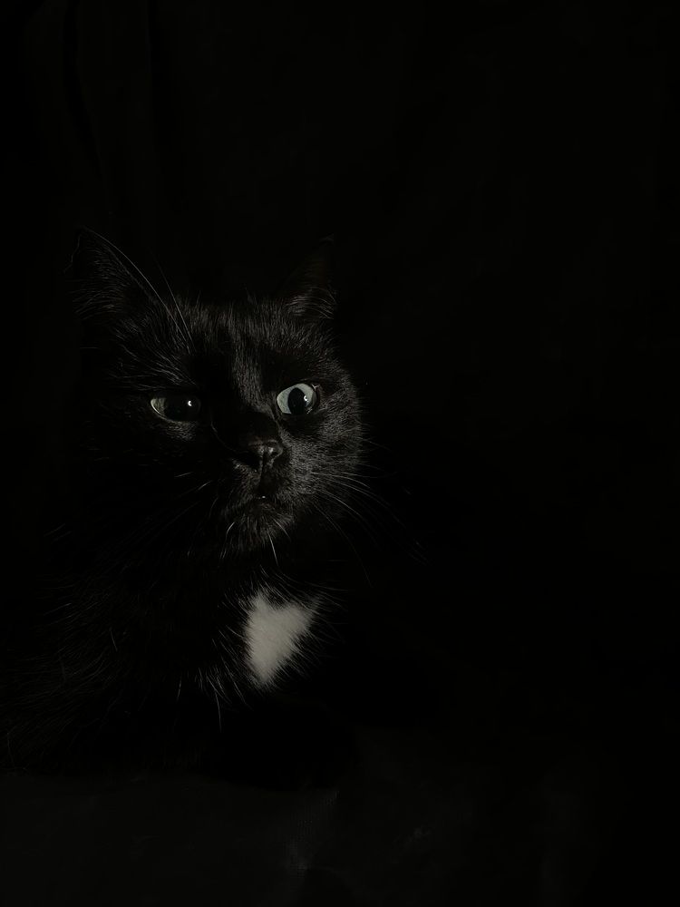 Photograph by Лена Кузнецова