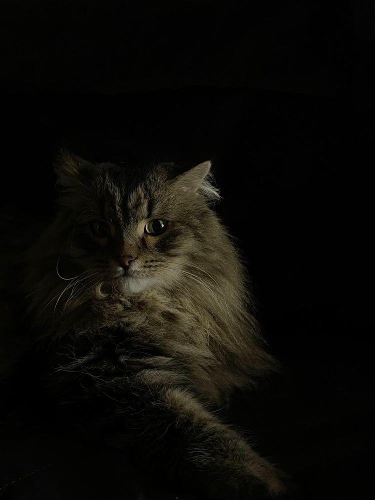 Photograph by Лена Кузнецова