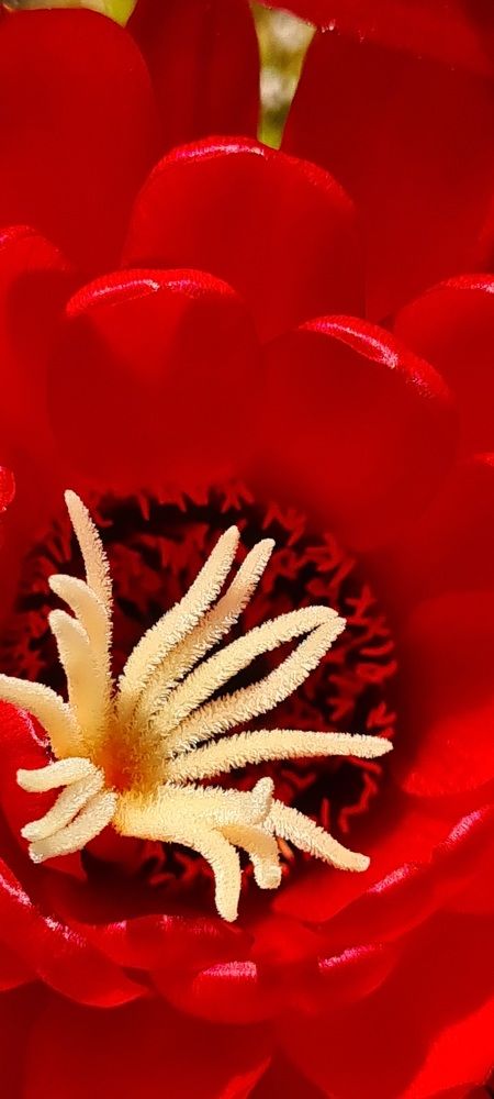 Photograph by Nadzeya