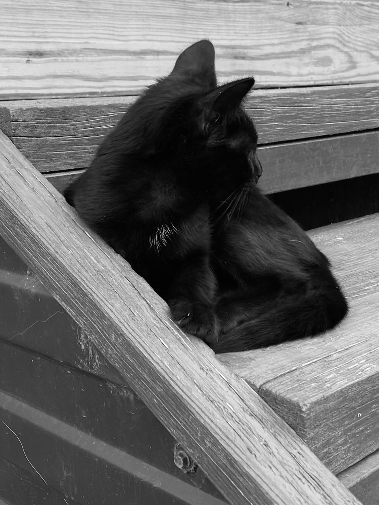 Фотография автора ГУЗАЛИЯ ГАНИЕВА