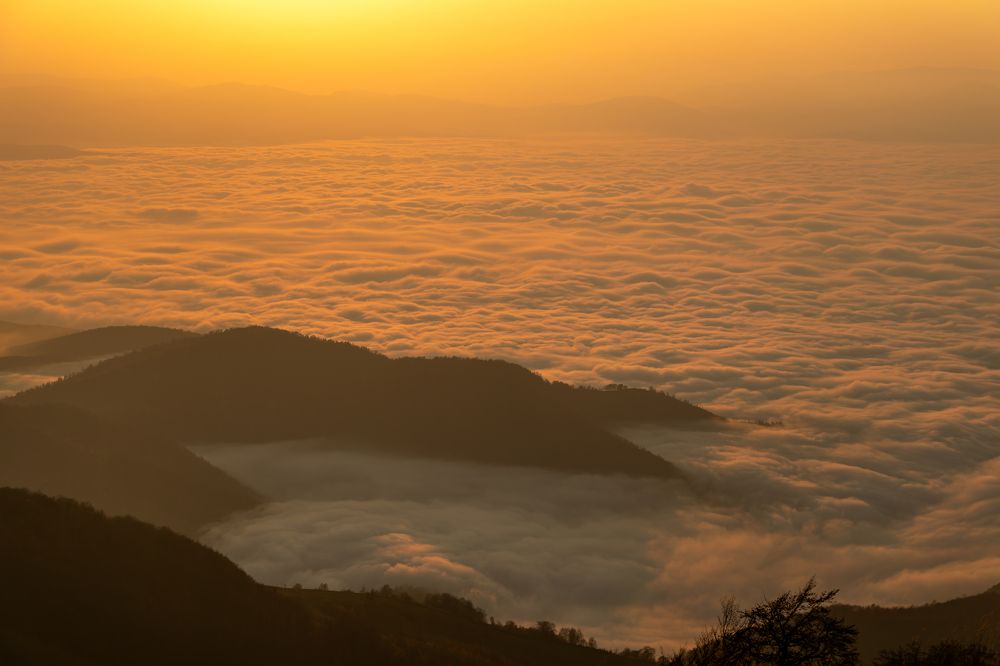 Photograph by George Alexandru Ghiuro