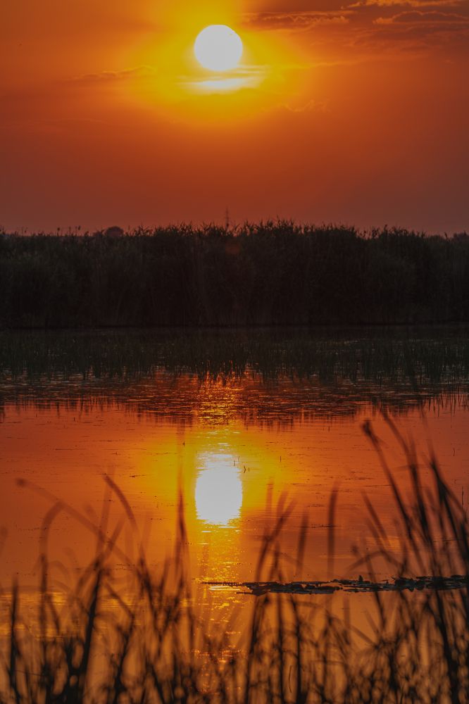 Photograph by George Alexandru Ghiuro