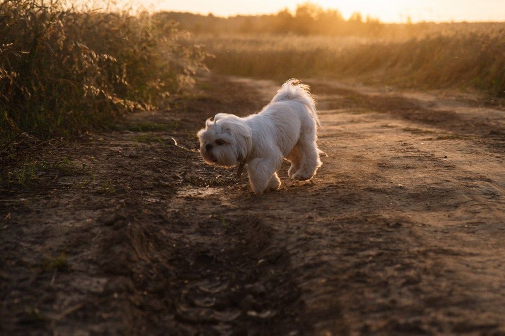 Photograph by Екатерина Максимова