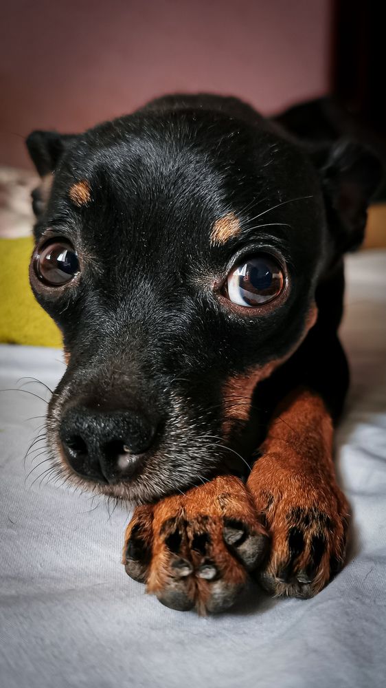 Фотография автора Дмитрий