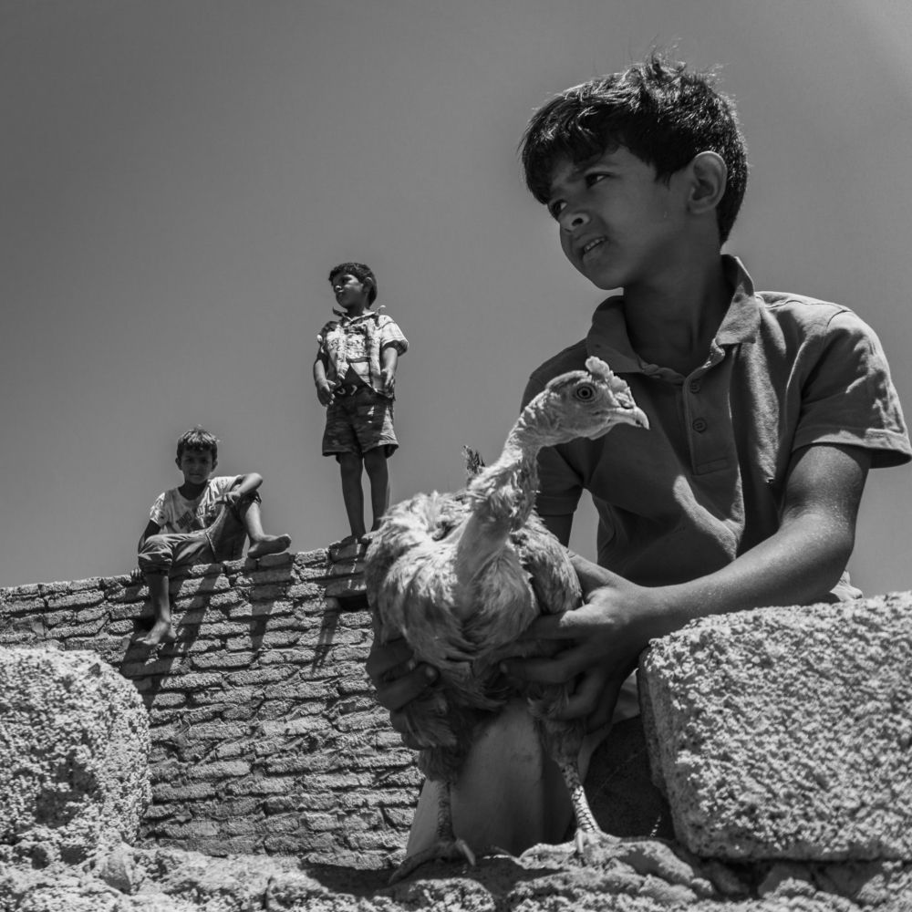 Photograph by Ahmed Zaher