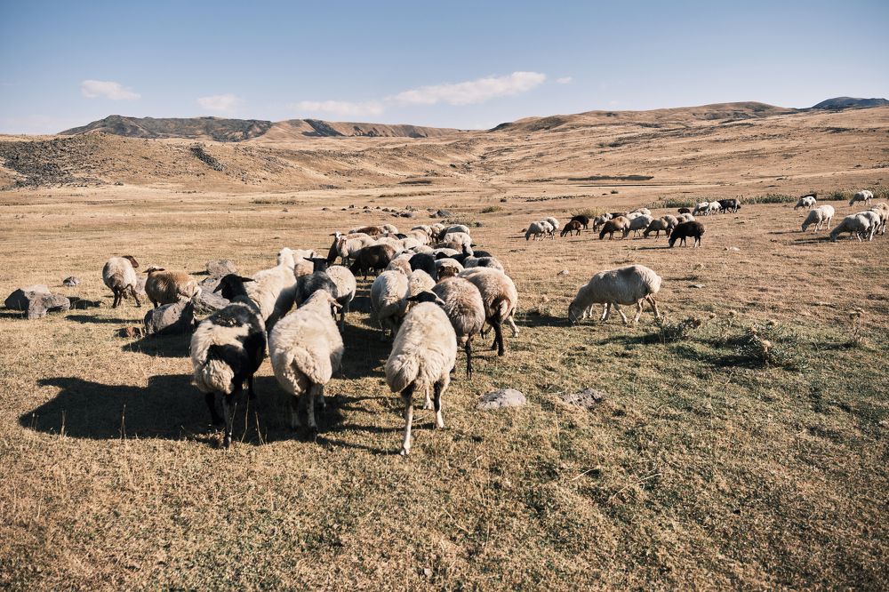 Фотография автора Владимир Эделев
