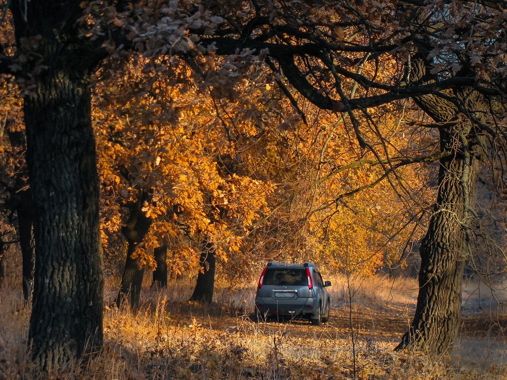 Photograph by Виктор Карпухин
