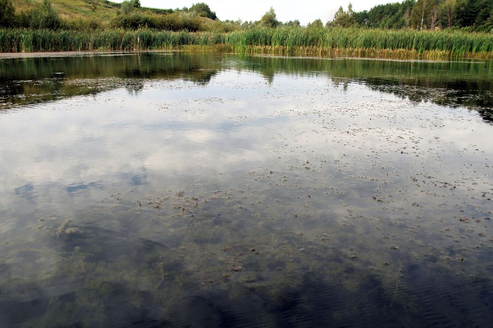 Отражение неба в воде