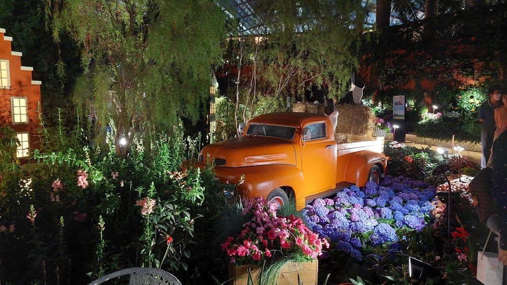 Photograph by Mostafa Shahriar