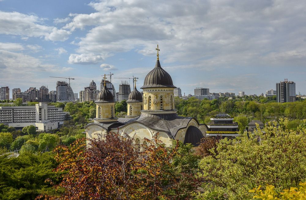 Фотография автора Панасюк Елена