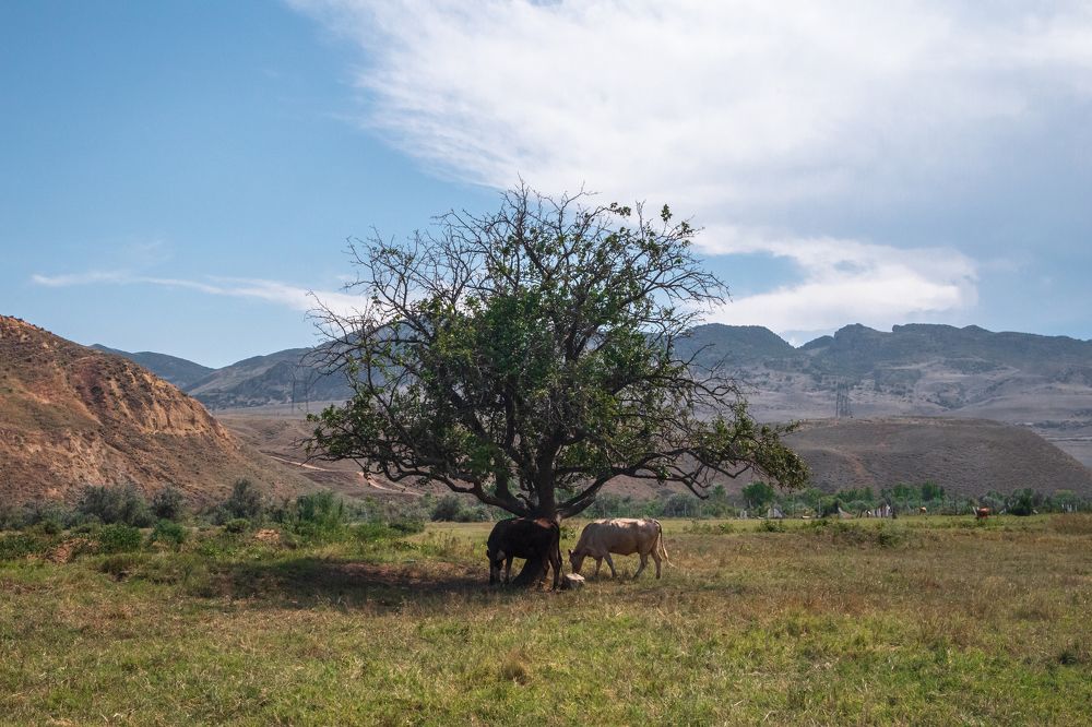 Фотография автора Антон Белобородов