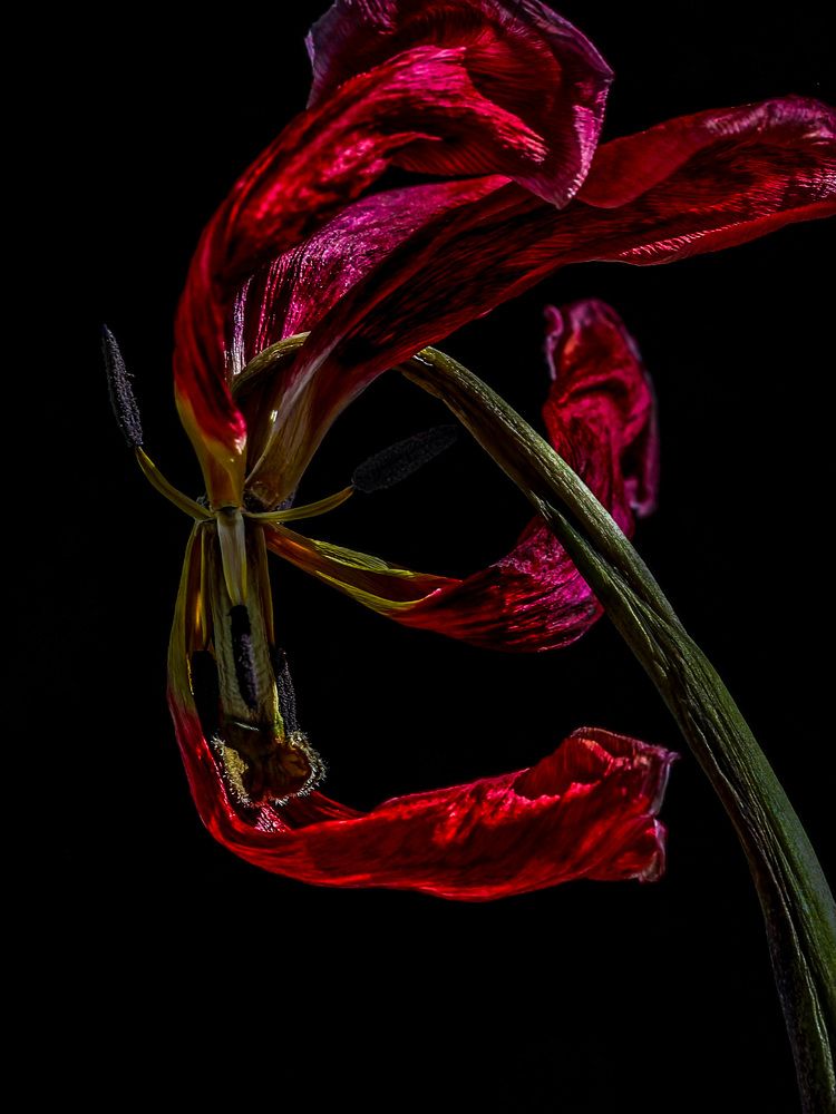 Photograph by Людмила Аксенова