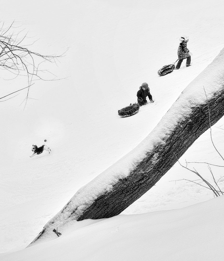 Фотография автора Елена Лаврова