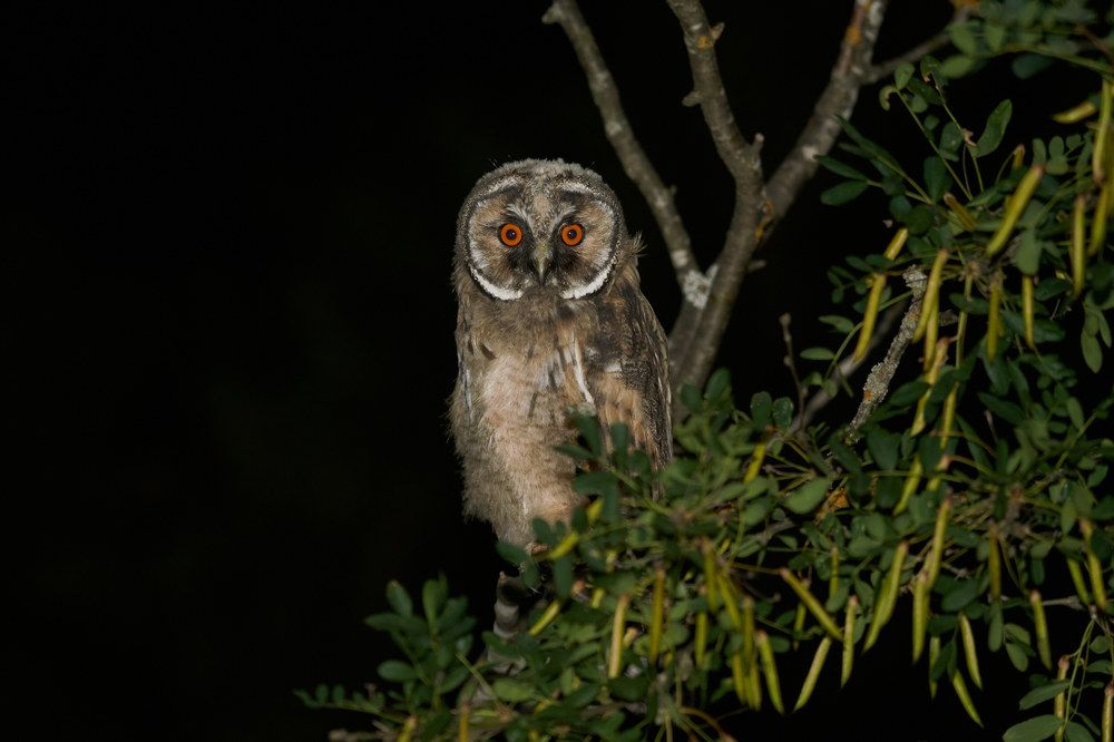 Photograph by Victor Krachkovsky