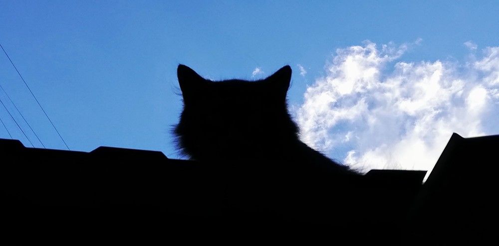 Photograph by Лариса Неудачина