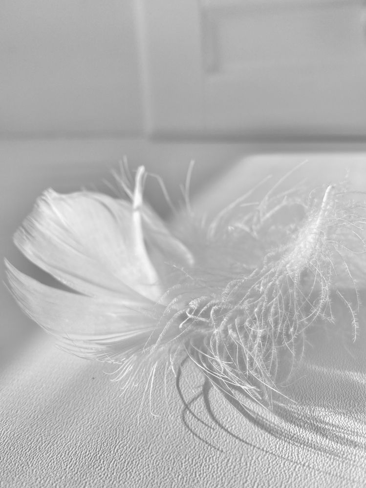 Photograph by Анна Зернова