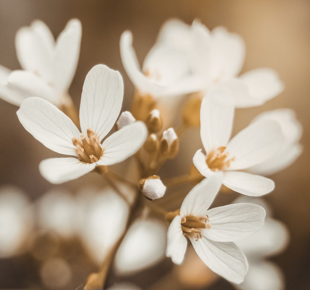 Photograph by Ирина Протченко