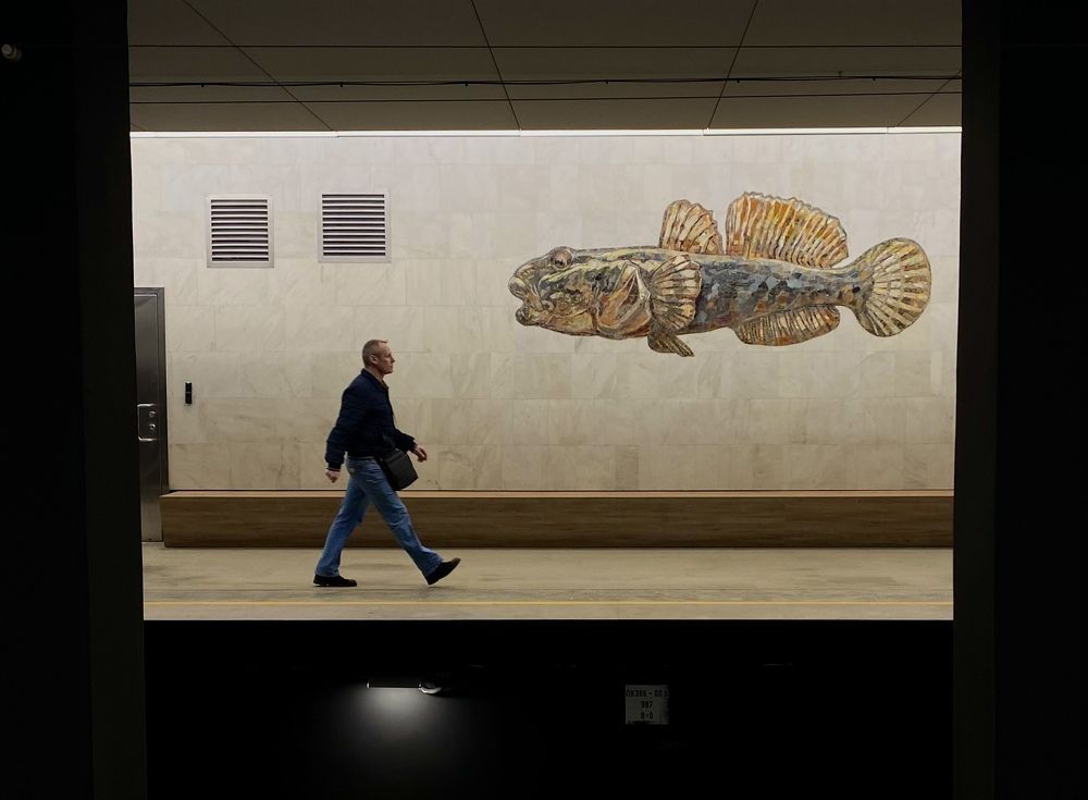 Фотография автора Galina Sa