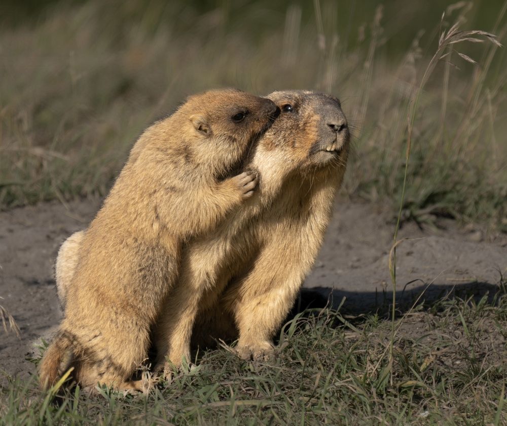 Photograph by Владимир Цветов