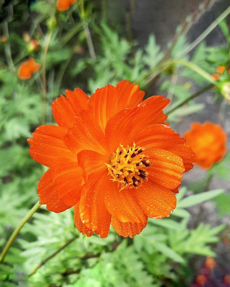 Photograph by Любовь Войтишина