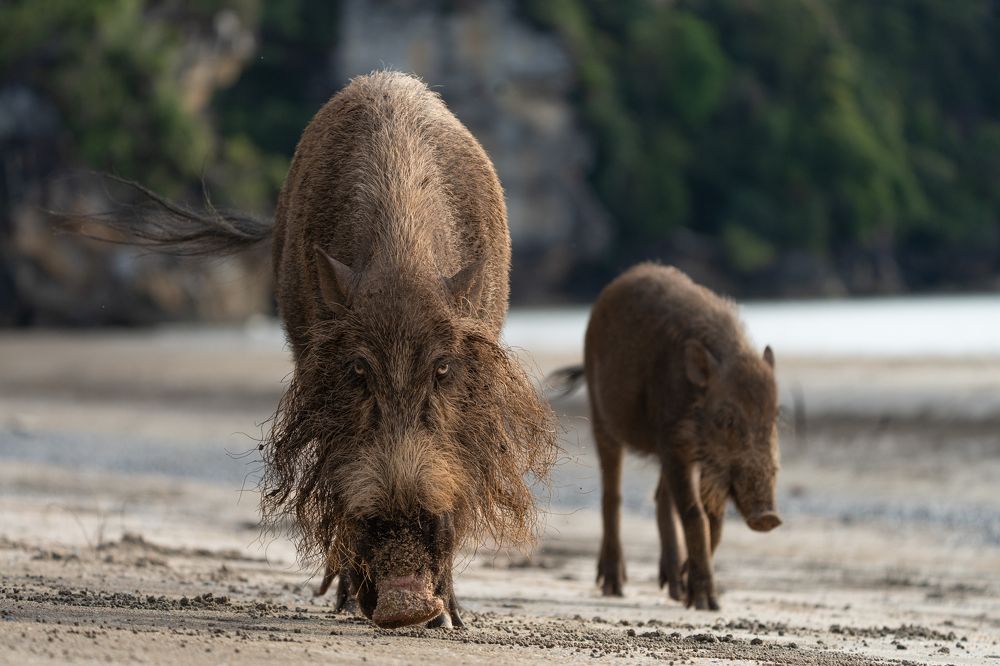 Photograph by Владимир Цветов