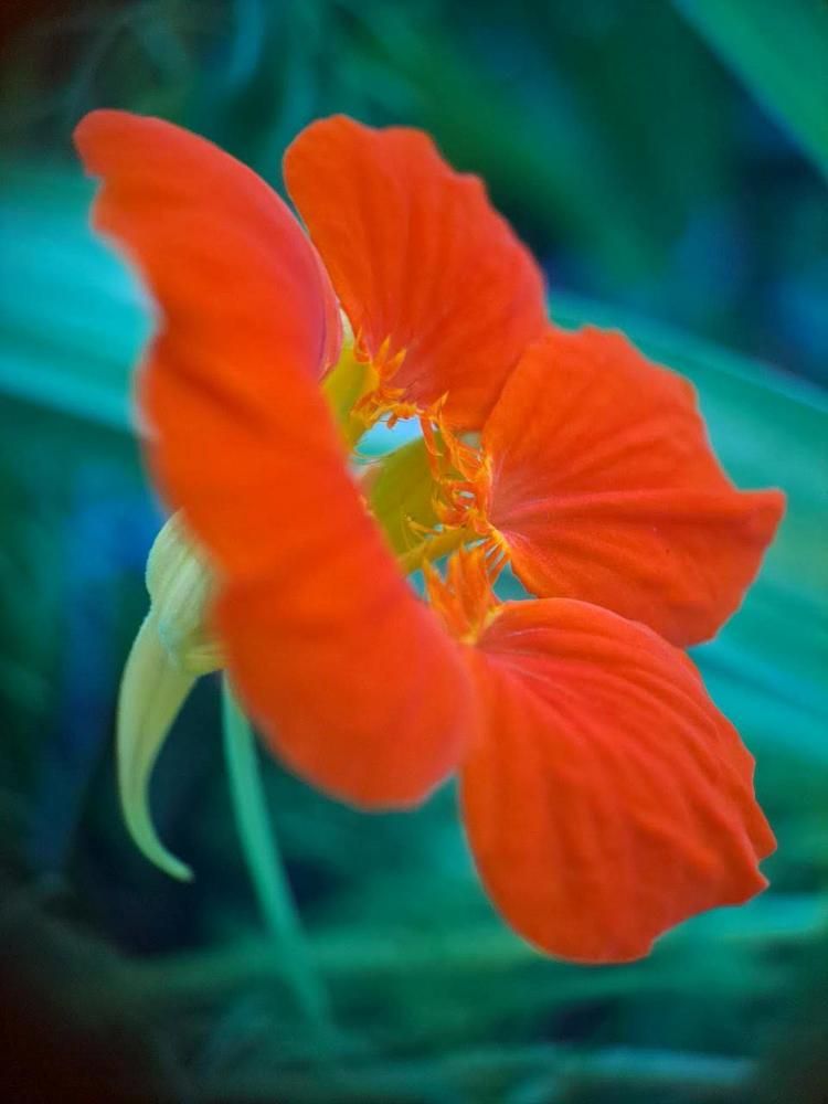 Photograph by Любовь Войтишина