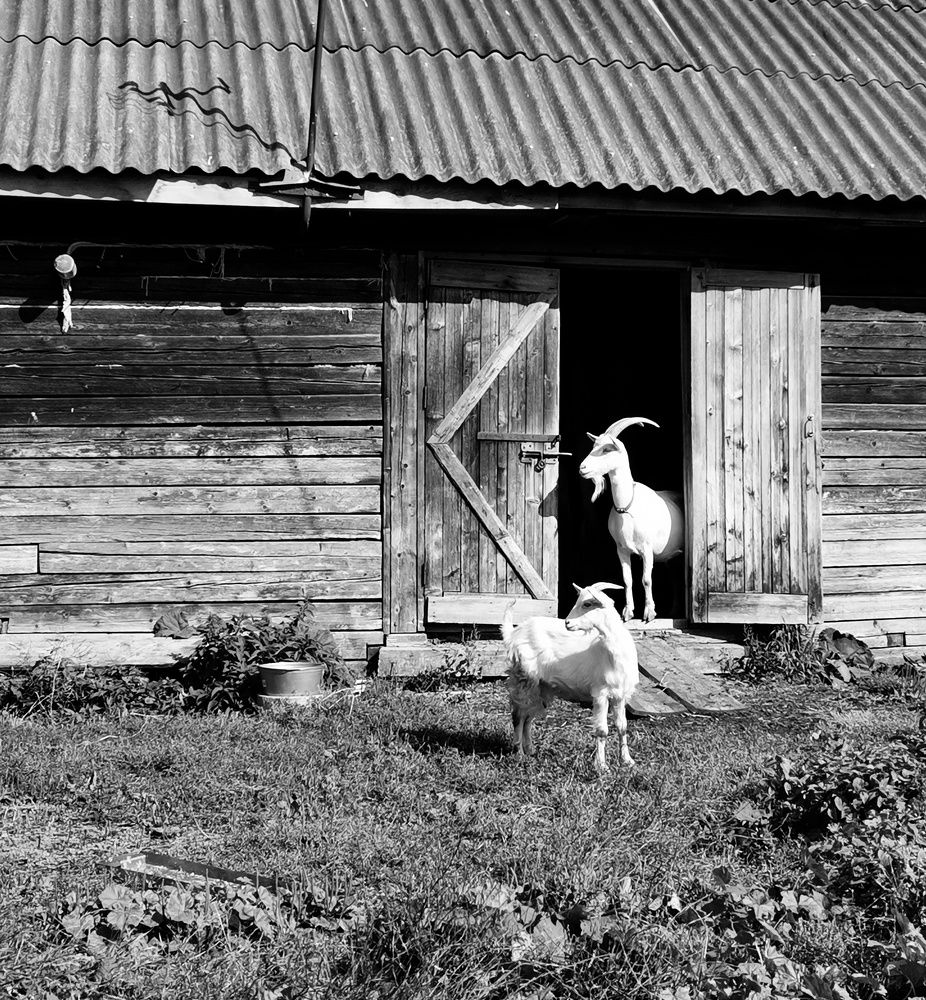 Photograph by Татьяна Никитина