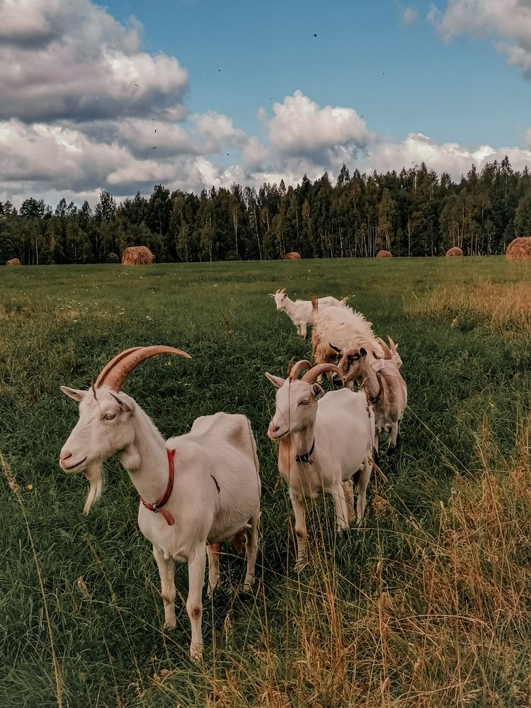 Photograph by Татьяна Никитина