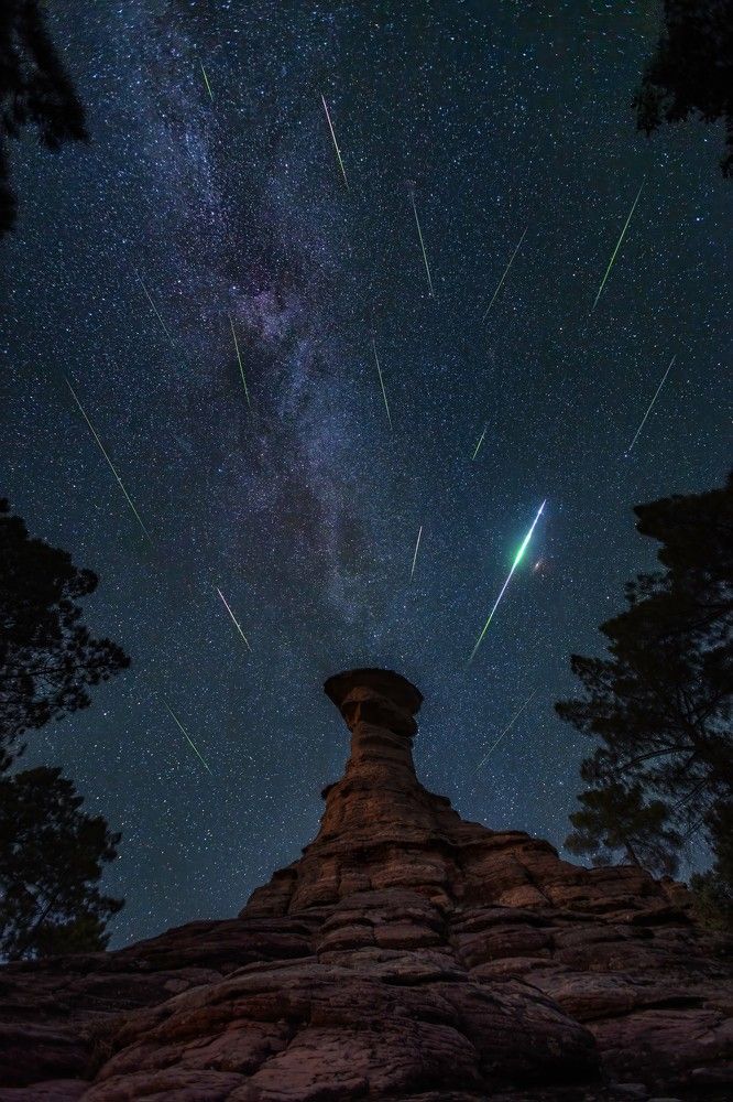 The Perseids night