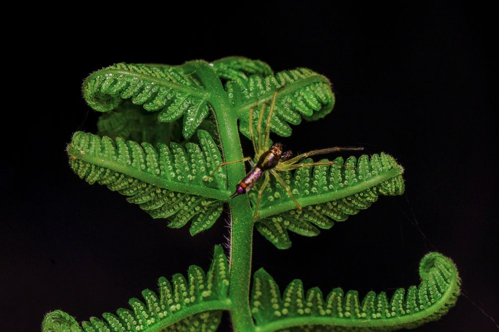 Photograph by ARUNAVA DEY