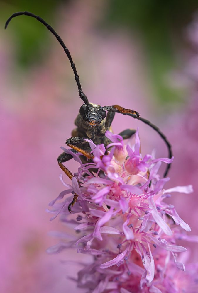 Photograph by Andrey Rut