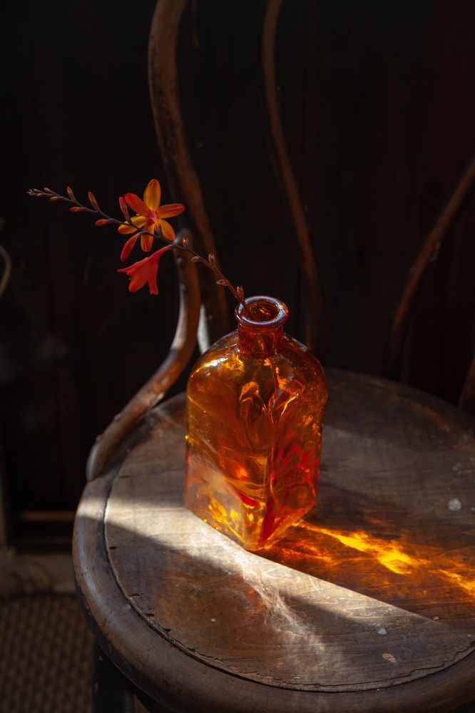 Photograph by Светлана Кавказская
