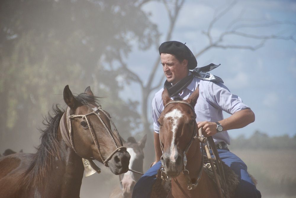 Gaucho - horseman