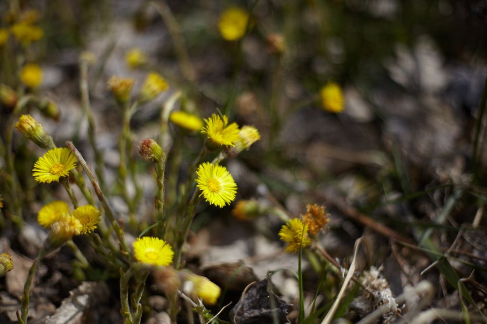 Photograph by Светлана Сафонова