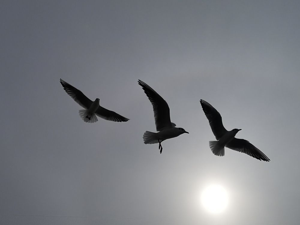 Photograph by Natali AB