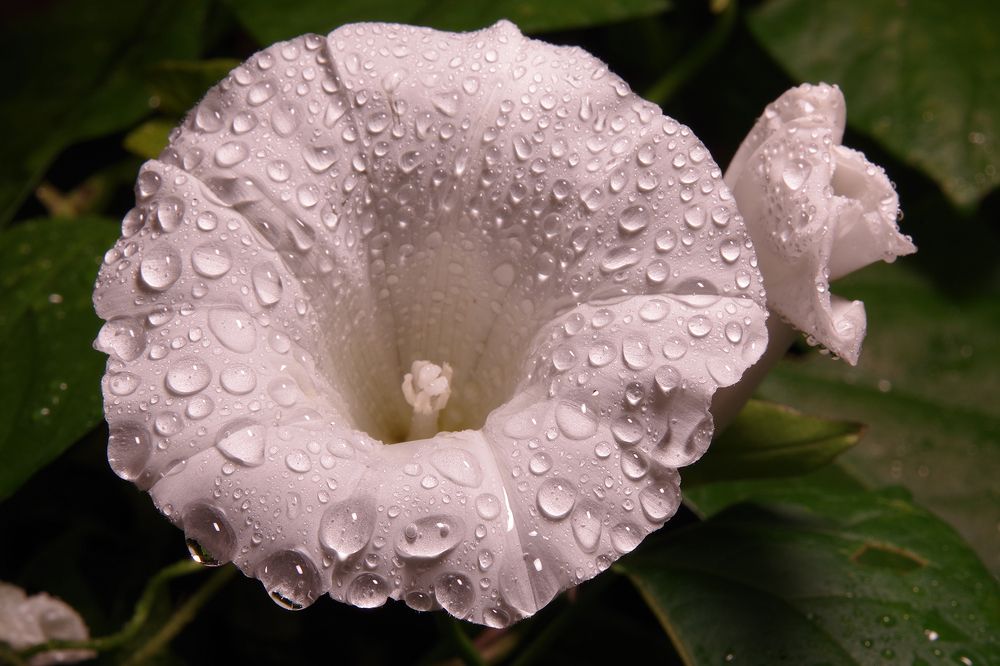 Photograph by Екатерина Бурикова