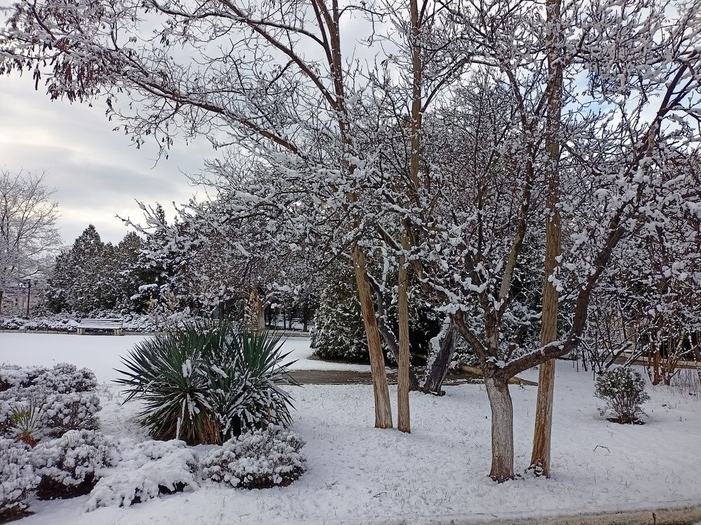 Photograph by Сергей Борисов