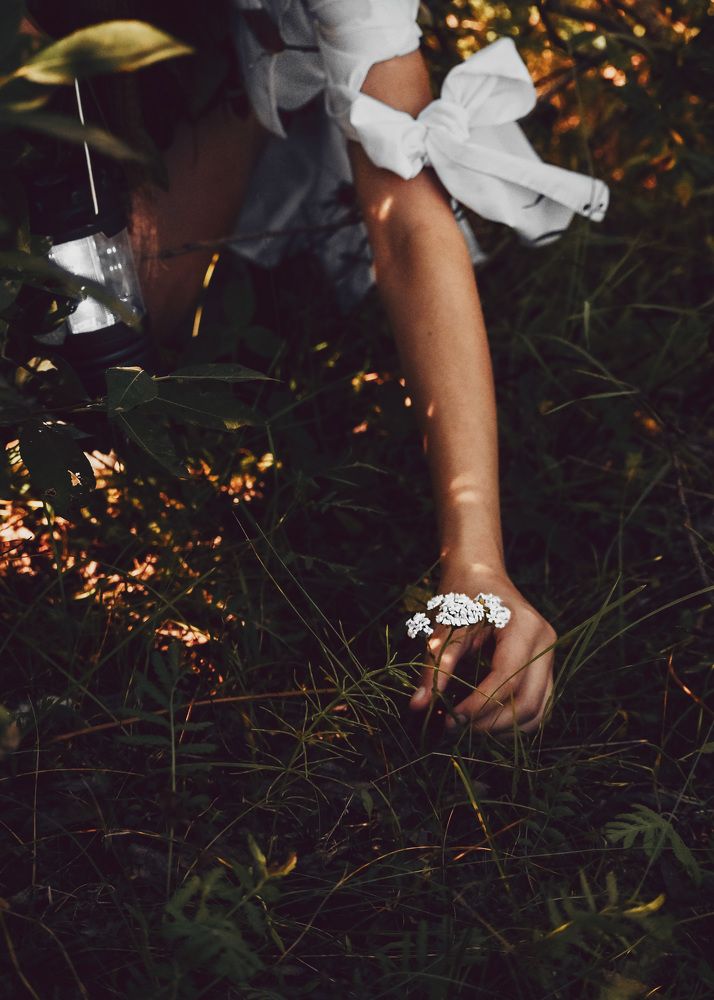 Photograph by Алина Шорина