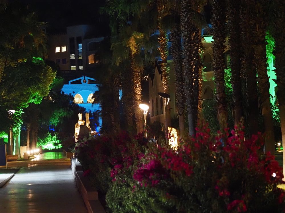 Photograph by Сергей Борисов