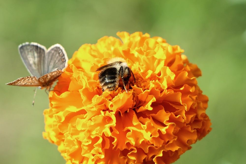 Photograph by Владимир Сушкин