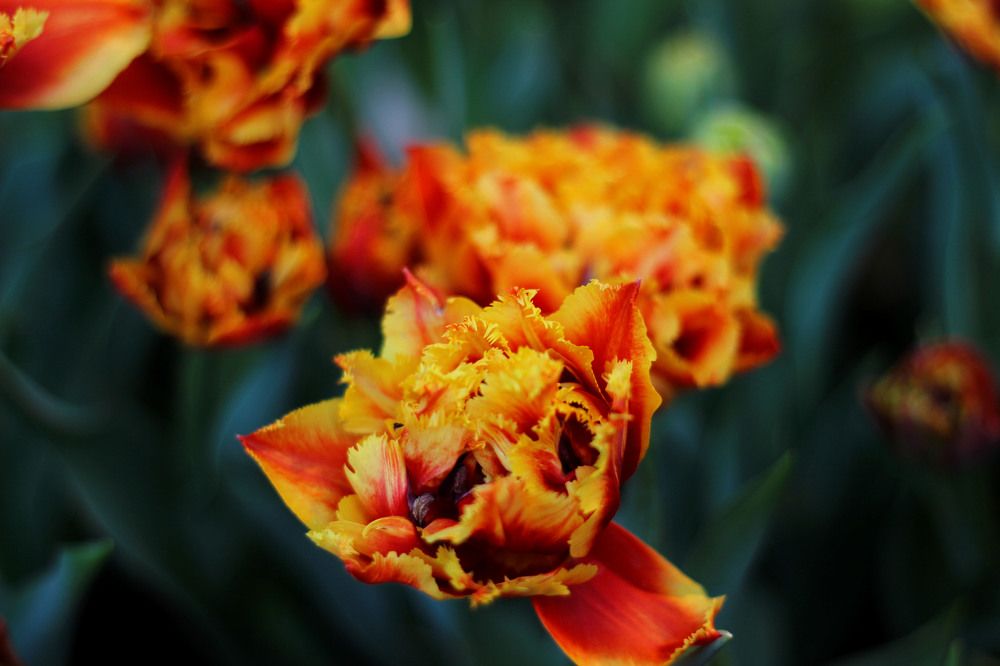 Photograph by Валерия