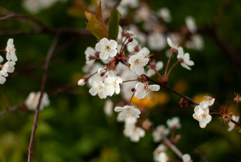 Photograph by Валерия