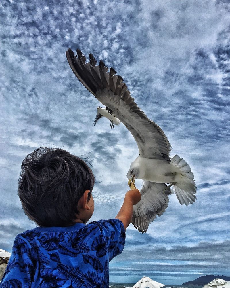 Photograph by Maria Moura