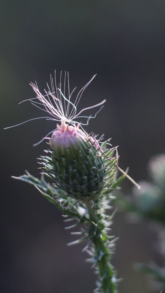 Photograph by Елена Носова