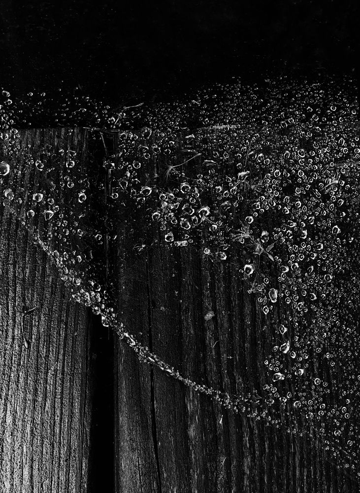 Photograph by Елена Брижеватая