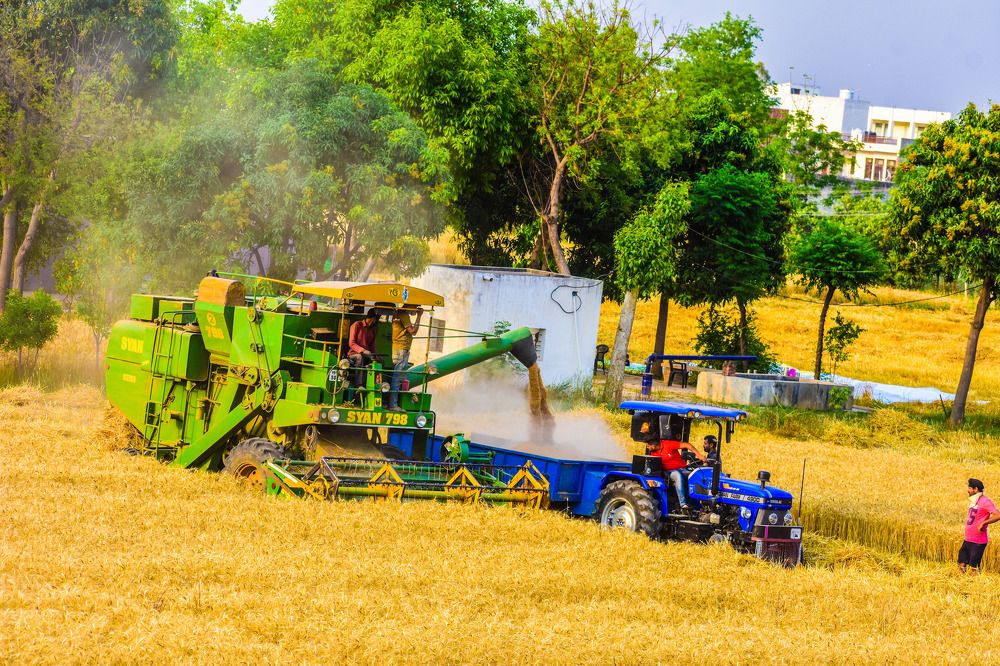 Photograph by AJAY KUMAR